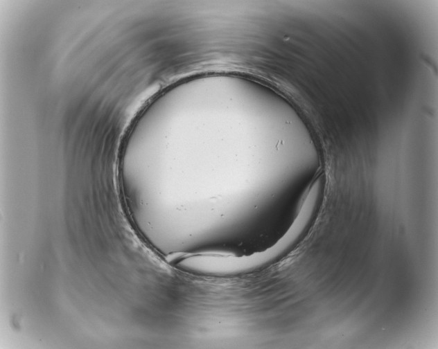 X0000103491334200810101013