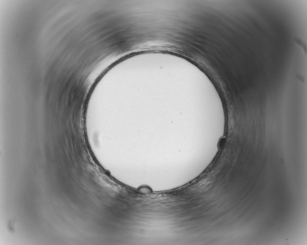 X0000103491336200810101013