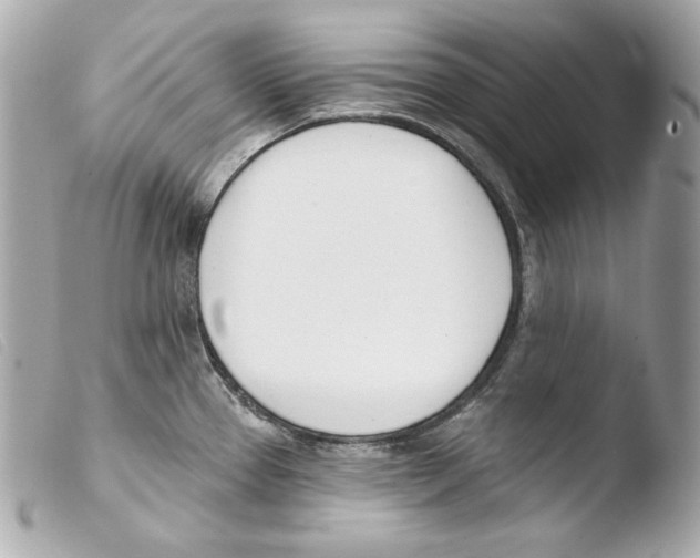 X0000103491337200810101013