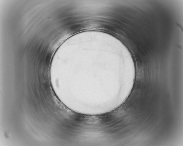 X0000103491338200810101013