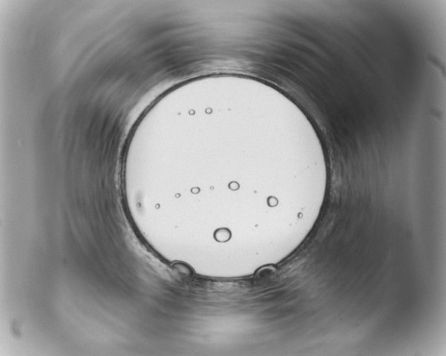 X0000103491339200810101013