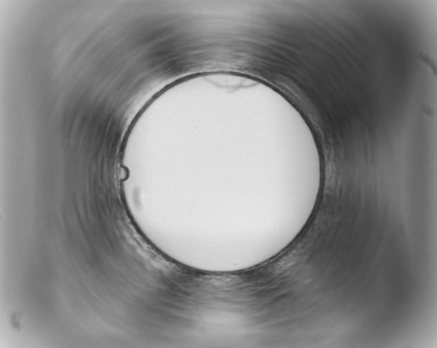 X0000103491340200810101013