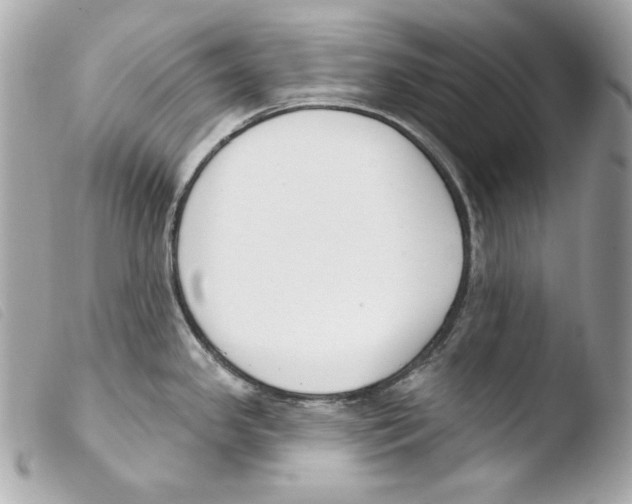 X0000103491341200810101013