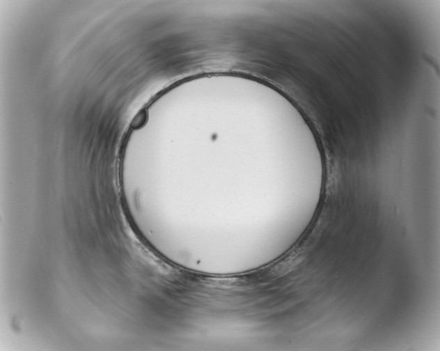 X0000103491342200810101013