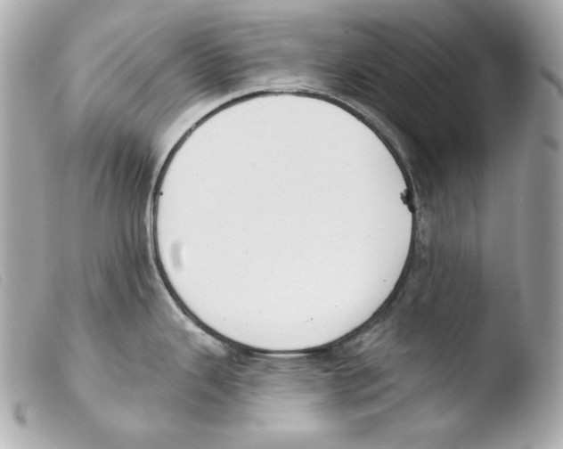 X0000103491343200810101013