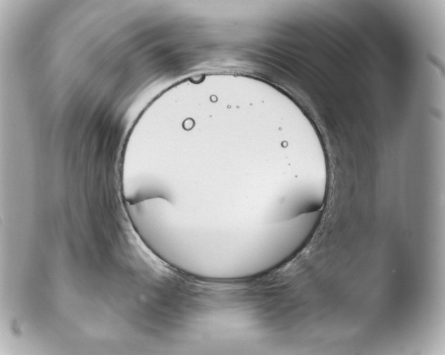 X0000103491344200810101013