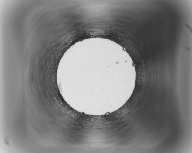 X0000103491345200810101013