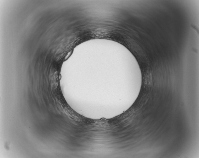 X0000103491346200810101013