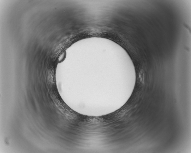 X0000103491348200810101013