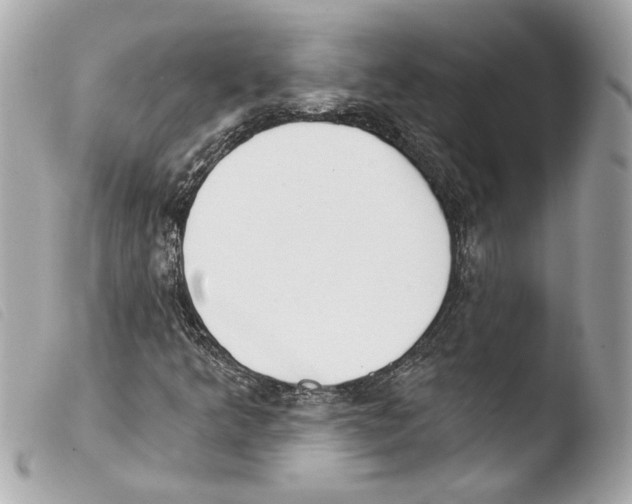 X0000103491349200810101013