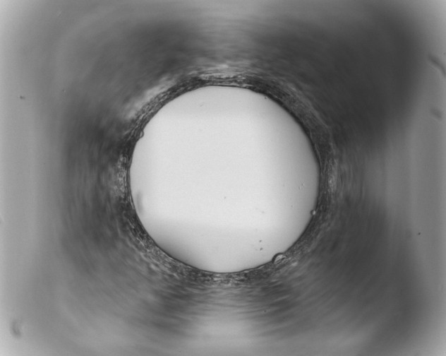 X0000103491350200810101013