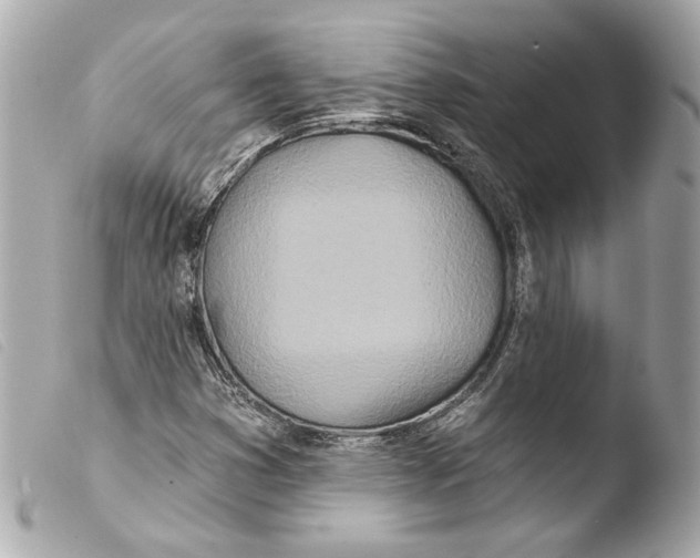 X0000103491353200810101013