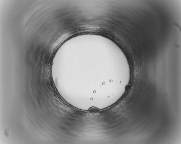 X0000103491354200810101013