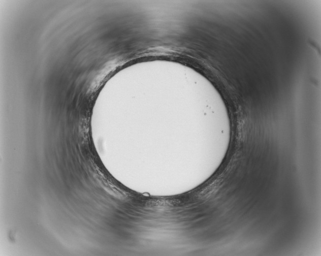 X0000103491355200810101013