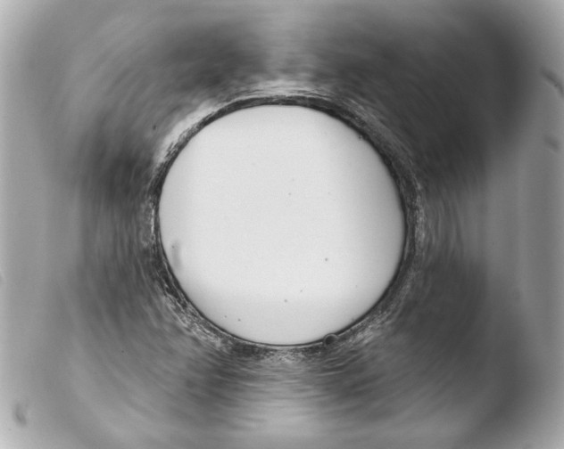 X0000103491358200810101013