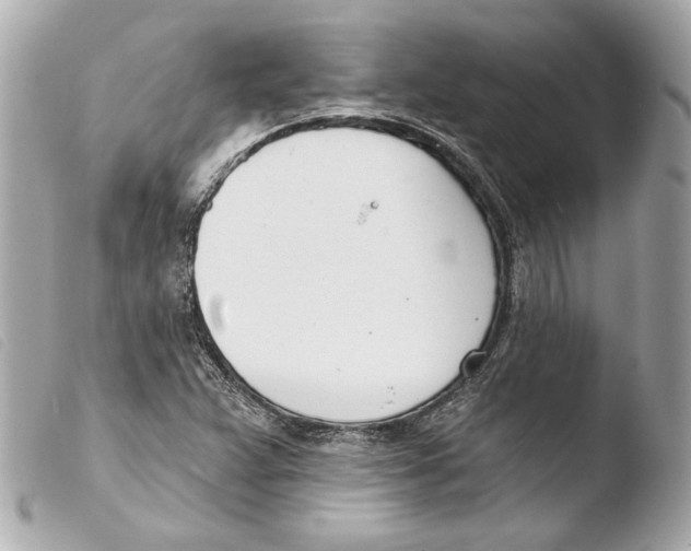 X0000103491359200810101013