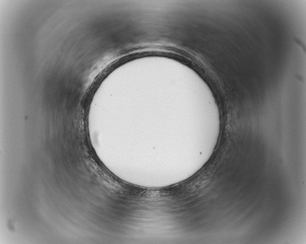 X0000103491360200810101013