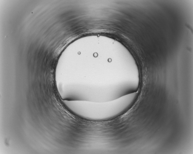 X0000103491361200810101013