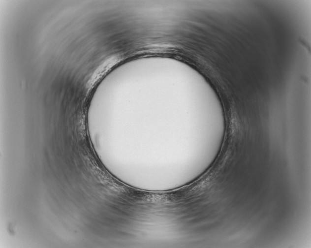 X0000103491362200810101013