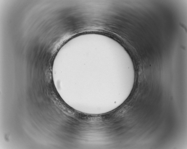 X0000103491363200810101013