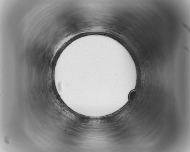 X0000103491364200810101013