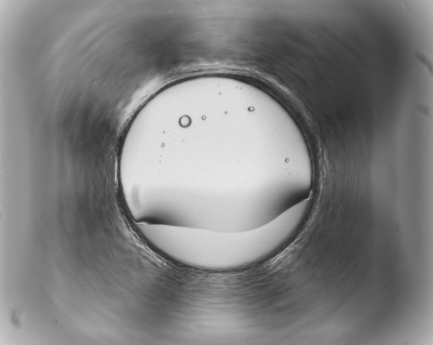 X0000103491365200810101013