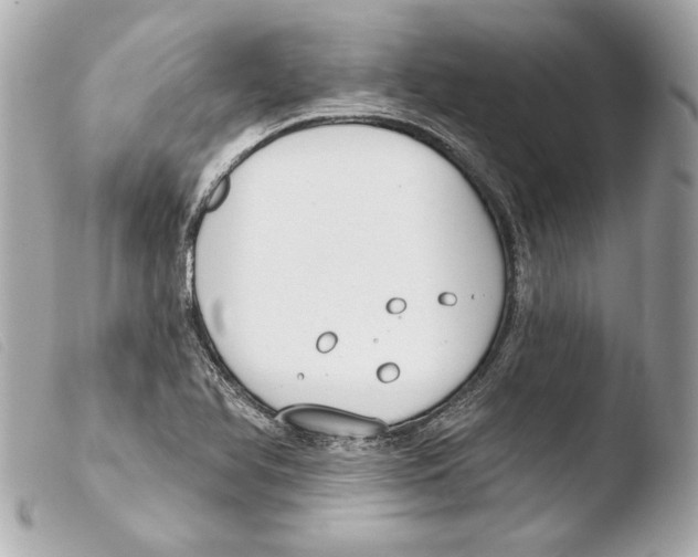 X0000103491366200810101013