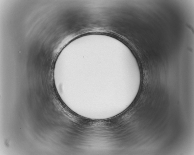 X0000103491367200810101013