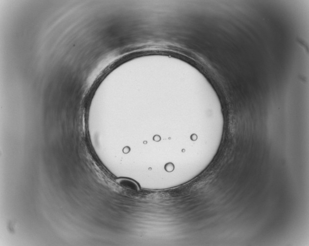 X0000103491368200810101012