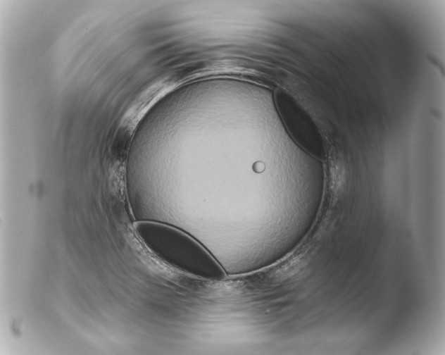 X0000103491369200810101012