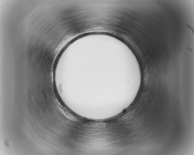 X0000103491372200810101012