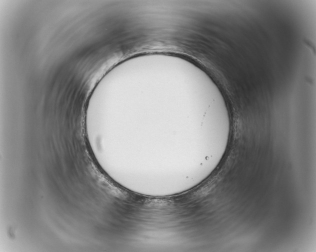 X0000103491374200810101012