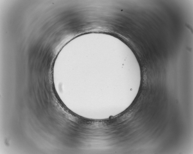 X0000103491375200810101012