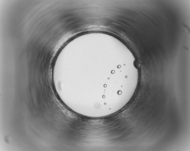 X0000103491376200810101012