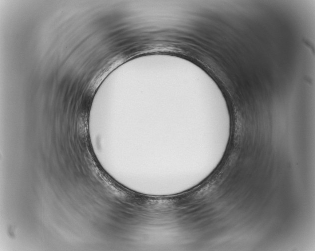 X0000103491377200810101012