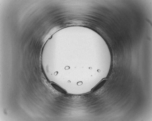 X0000103491378200810101012