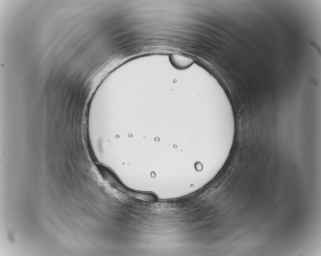 X0000103491379200810101012