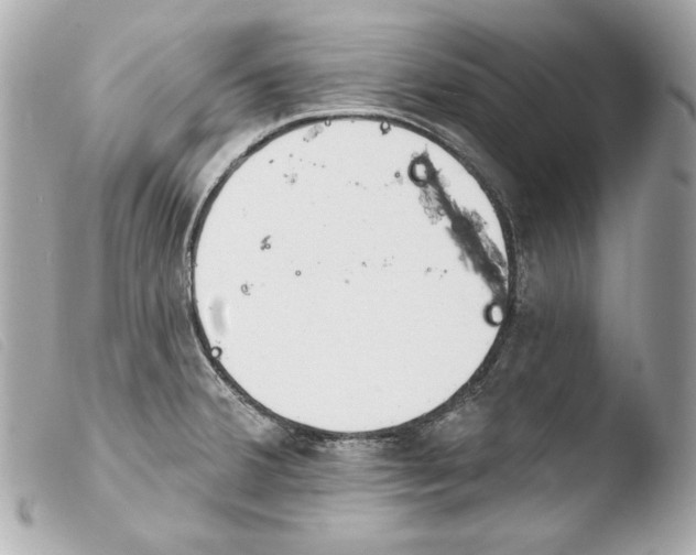 X0000103491380200810101012