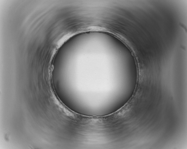 X0000103491381200810101012