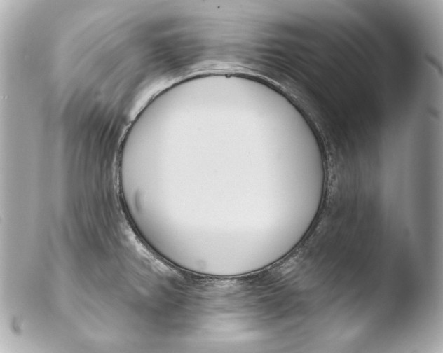 X0000103491382200810101012