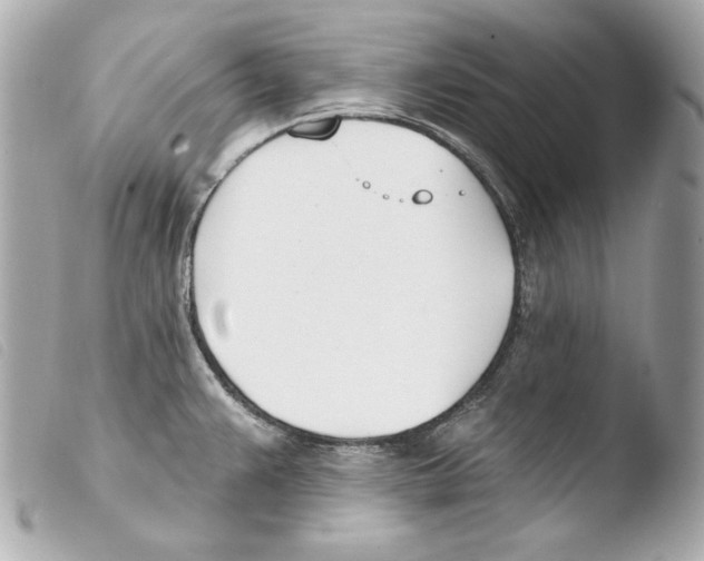 X0000103491383200810101012