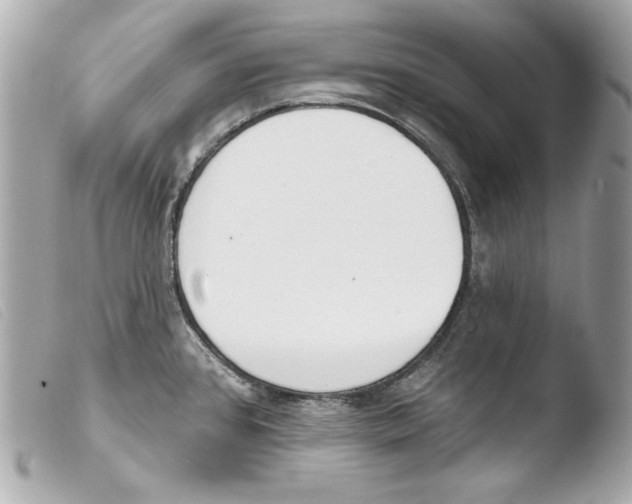 X0000103491384200810101012