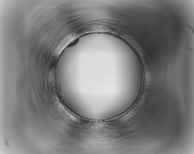 X0000103491385200810101012