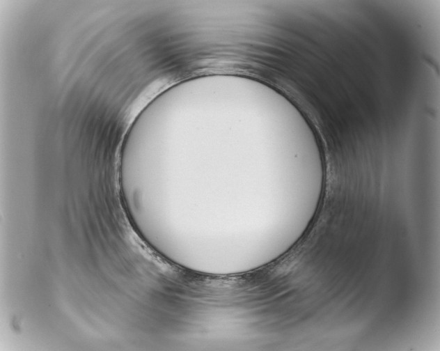 X0000103491386200810101012