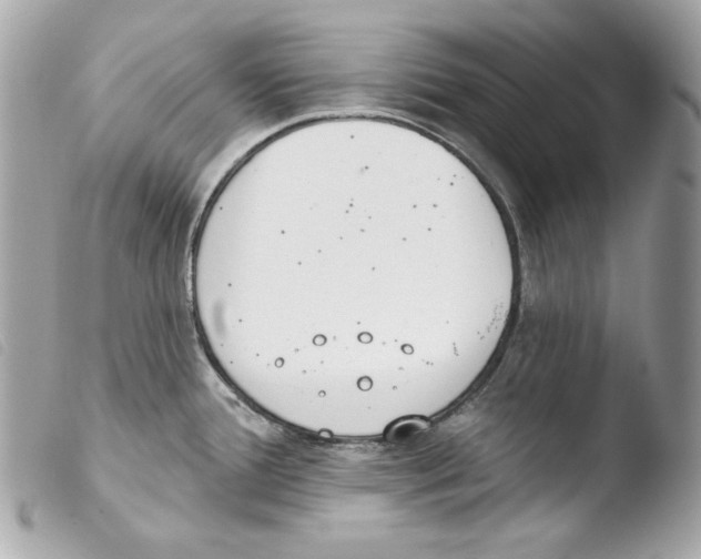 X0000103491388200810101012