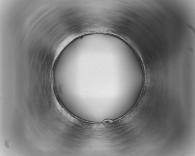 X0000103491389200810101012