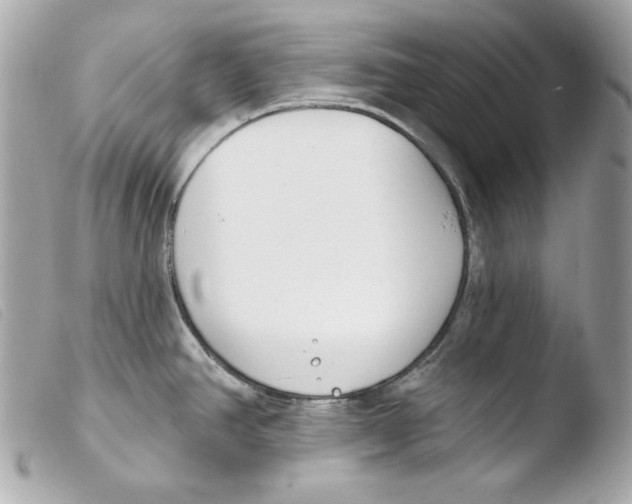 X0000103491390200810101012