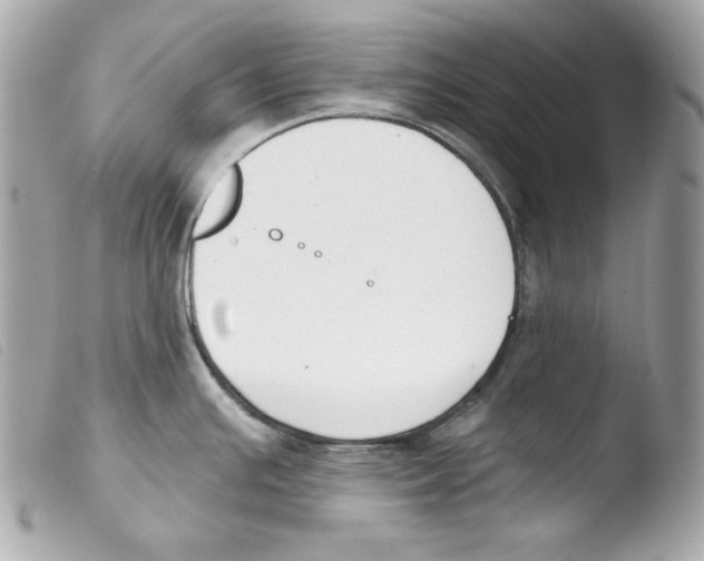 X0000103491391200810101012