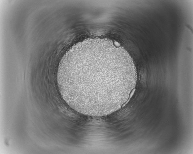 X0000103491393200810101011