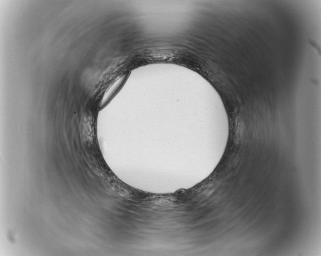 X0000103491394200810101011